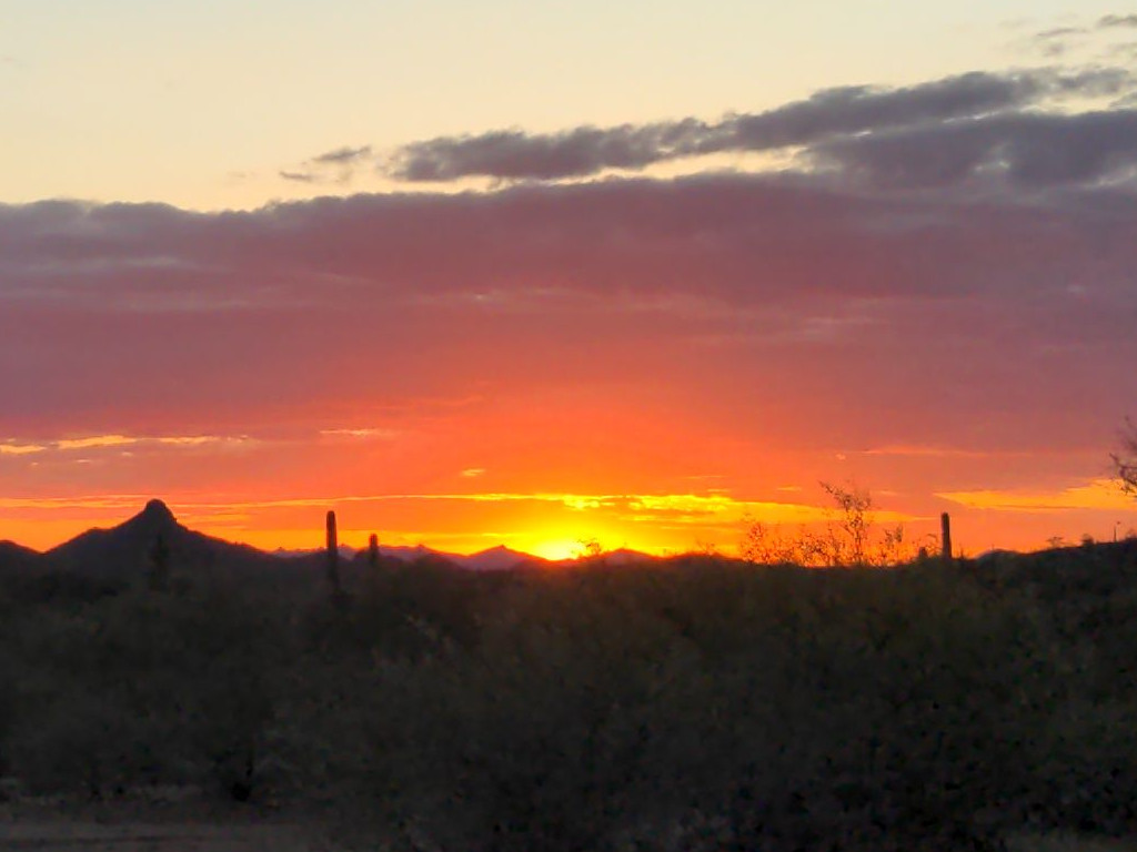Desert sunset beneath clouds, with saguaros and mountains silhouetted on the horizon.